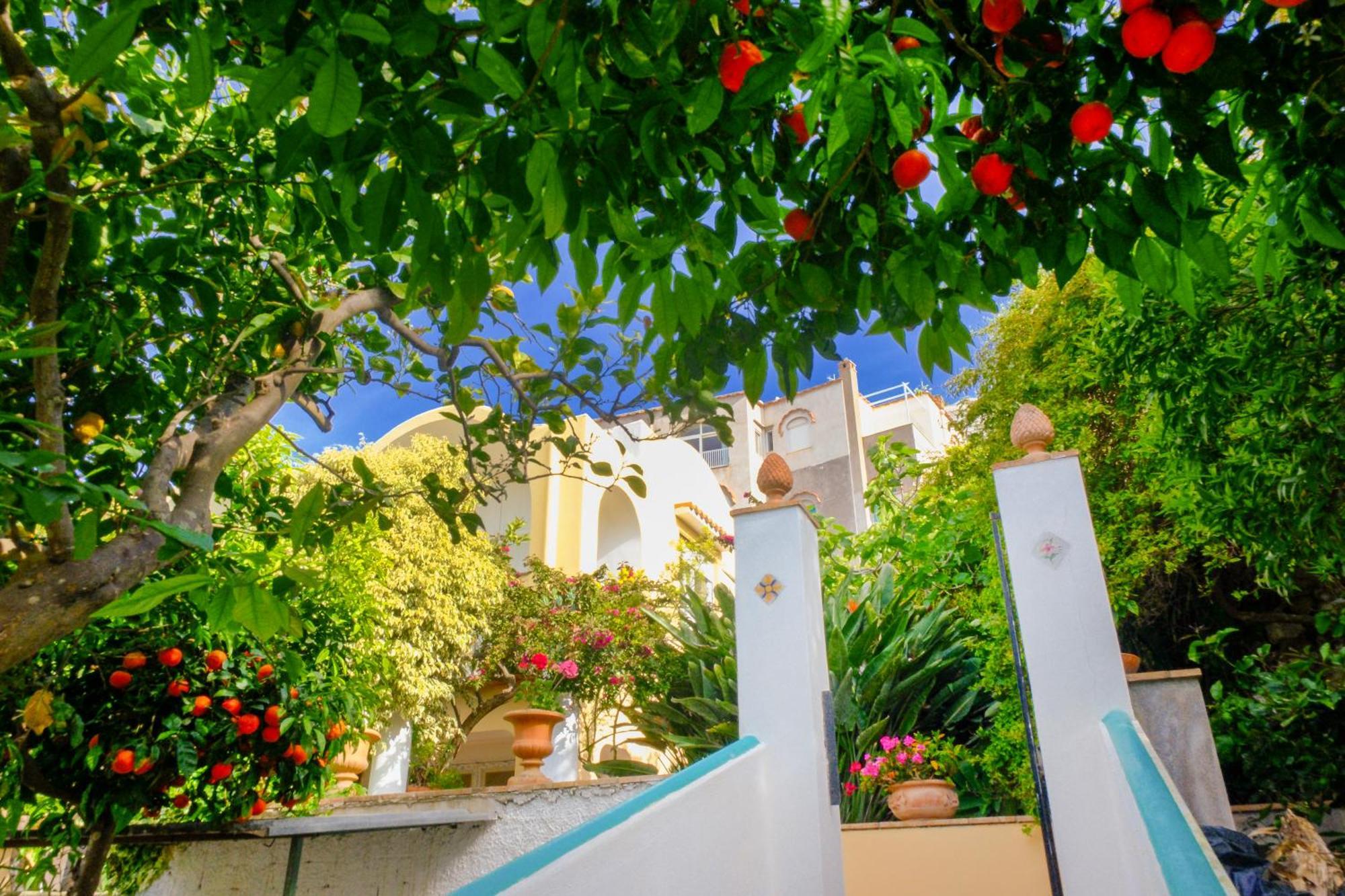 Villa Dorothee Capri Exterior photo